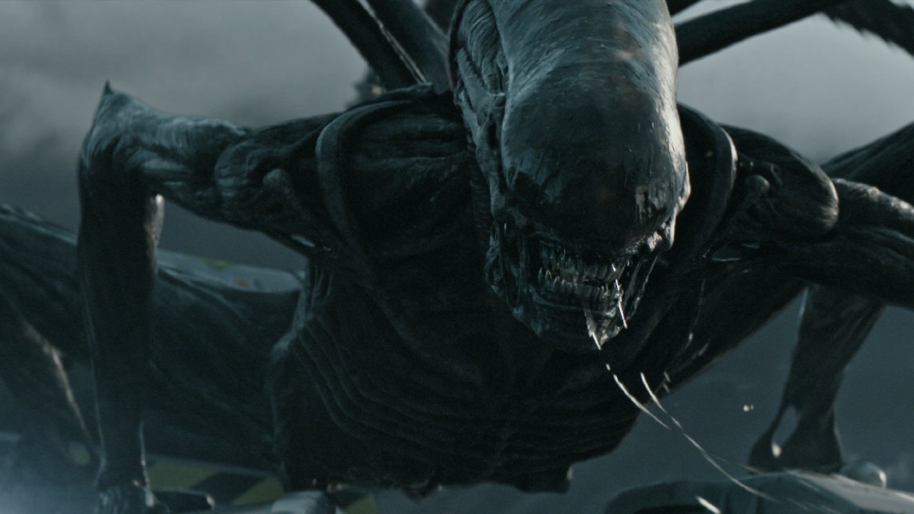 ريدلي سكوت يكشف عن خطط لأجزاء متعددة من فيلم Alien: Covenant