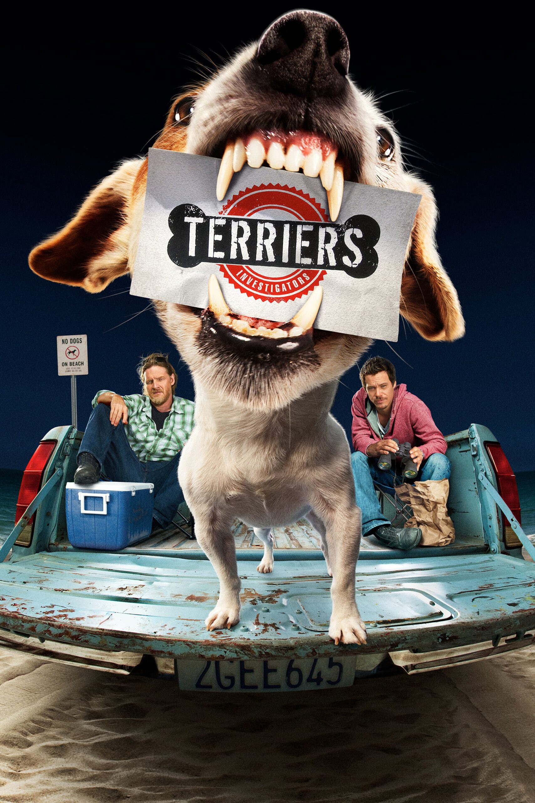 صب Terriers Saison 1