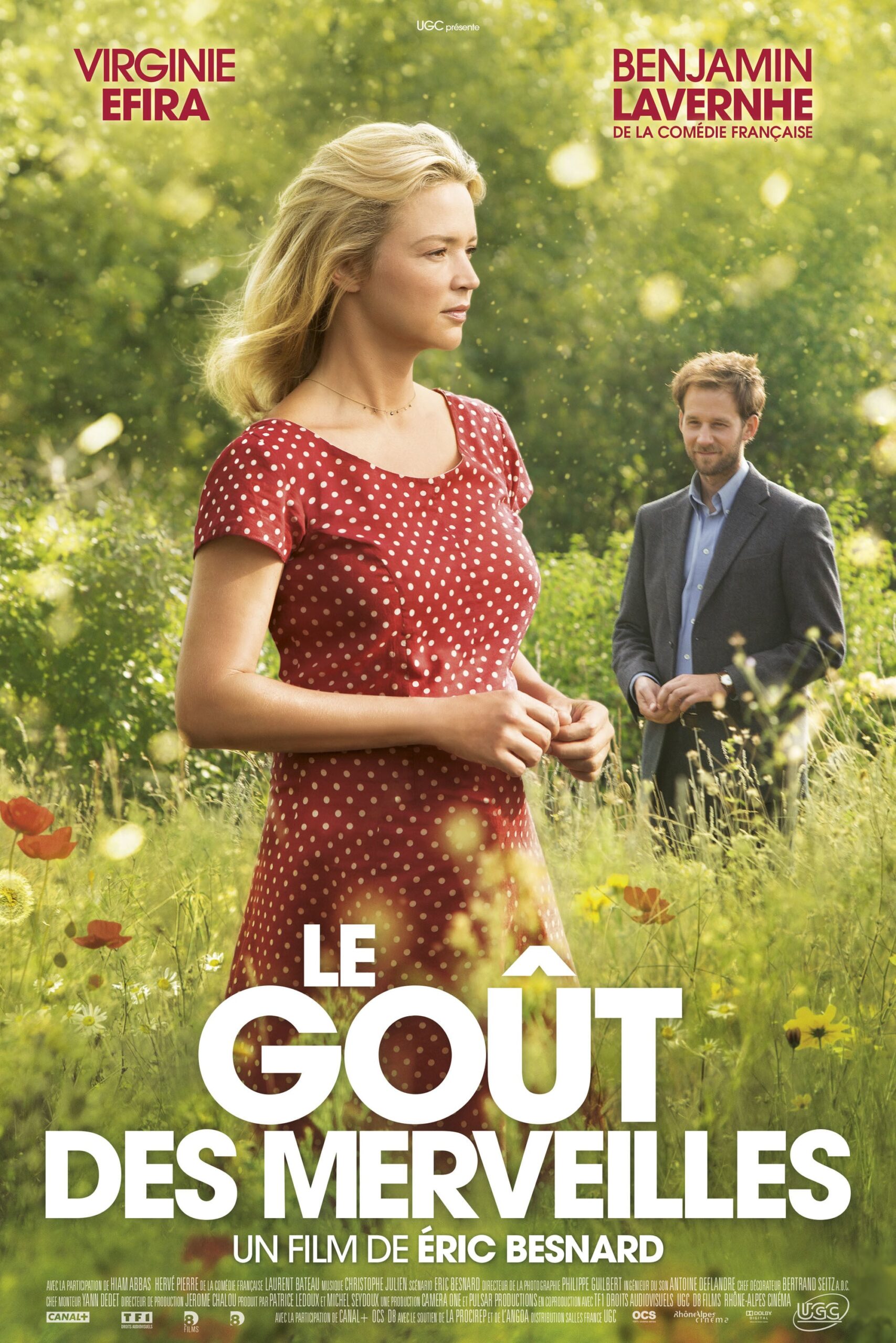 Le Goût des merveilles : Affiche officielle