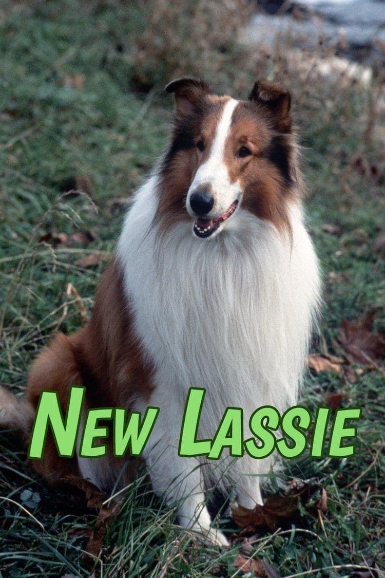 إلقاء المغامرات الجديدة من Lassie Season 1